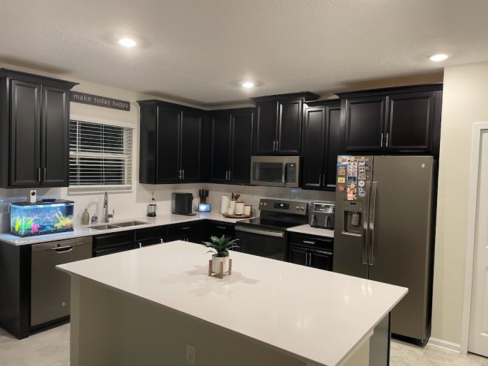 Cabinet Painting | Pro Painting Services in Central Florida Cabinet Painting | Pro Painting Services in Central Florida