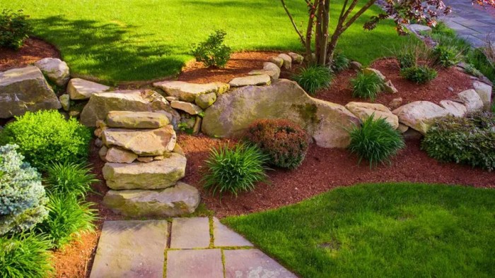5 Cheap Landscaping Ideas When You’re On a Budget – Forbes Home